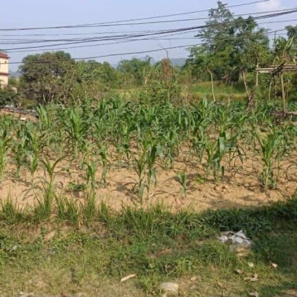 Prime Commercial Highway Front Land for Sale
