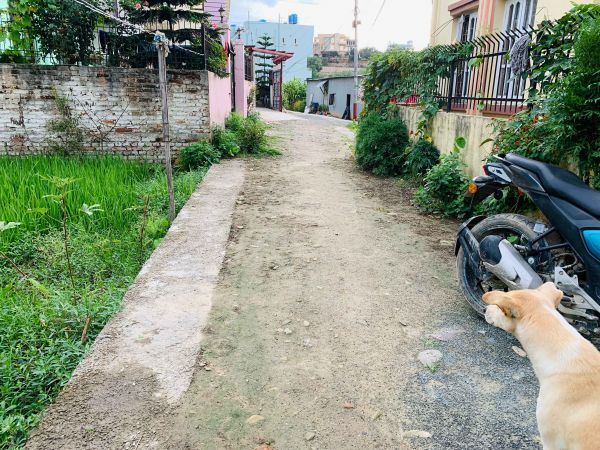 5 Aana land on sale at extremely low price in Bhaisepati, Lalitpur.