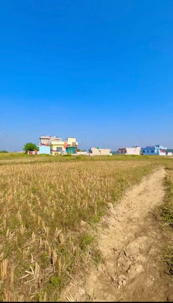 Residential Land Sale - Sub Metropolitan City - Dhangadhi