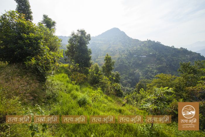 3 Ropani land for sale Katheri, Nuwakot.