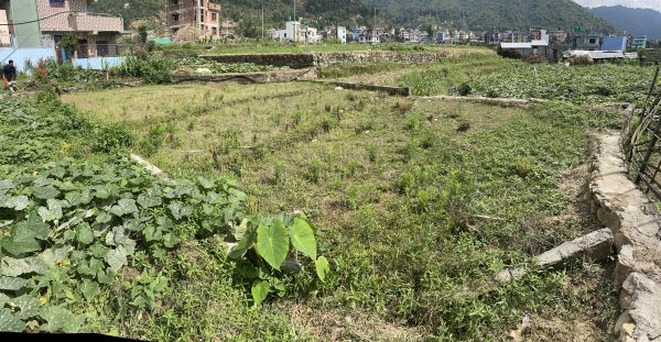 Emergency sale due to bank loans within a month