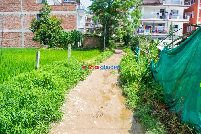 10 anaa 2 paisa ghaderi land for sale in Kirtipur Kathmandu