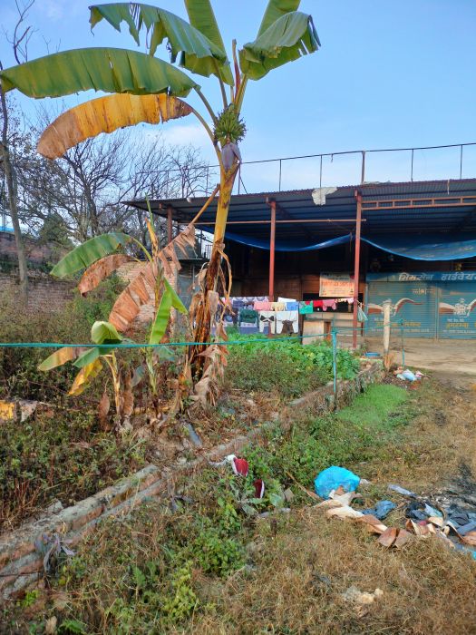 Land on Dhapakhel Main Road