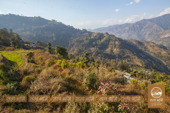 6 Ropani land on sale in Pudibhanjyag, Nuwakot