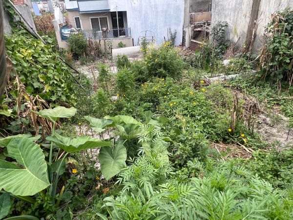 Land for sale in Bista Gaun, Harhar Mahadev, Gothatar. 4 aana 2 dam