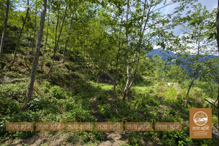 10 Ropani land on sale Ranipauwa, Kakani - Nuwakot