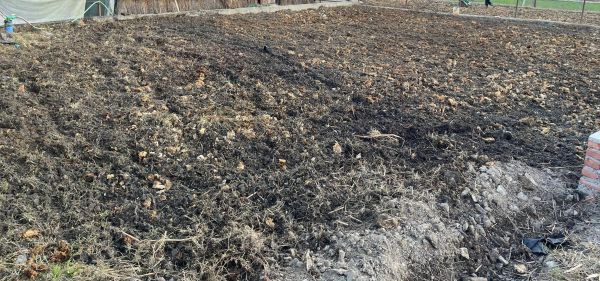 Land for sale in Maiti Nepal