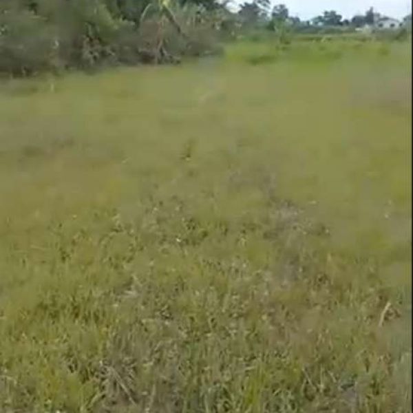 Land for sale at chitwan kumroj