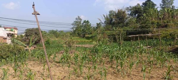 HOUSE FOR SALE IN JAMUNE, TANAHUN.