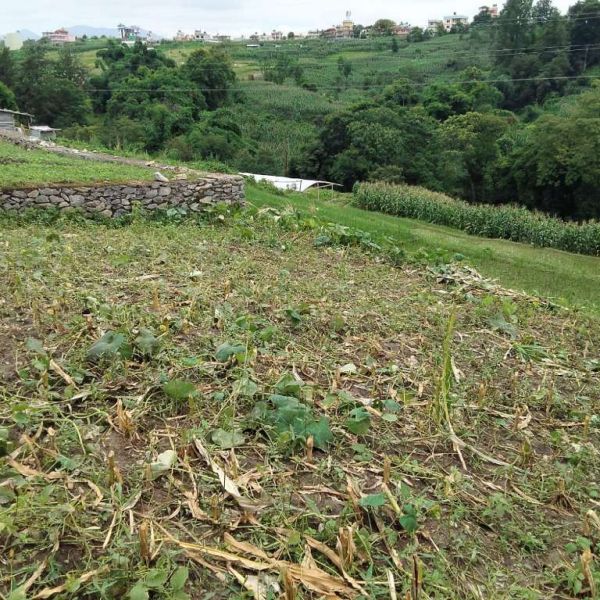 6.5 Anna land for sale in kirtipur 