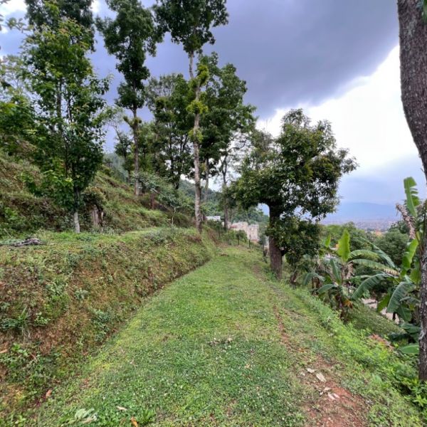 Big land for sale In Lubhu Lamatar.