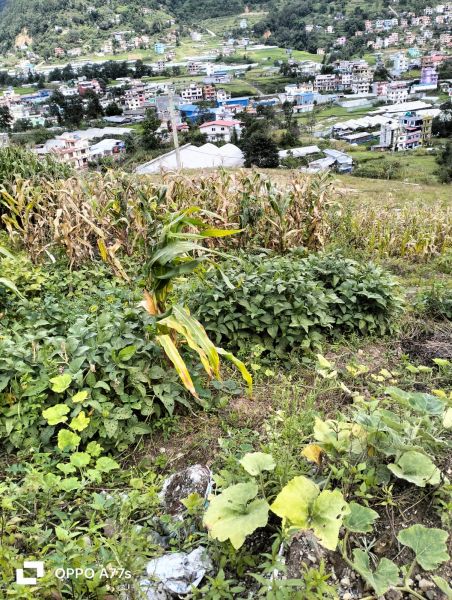 Land in Ramkot Sitapaila