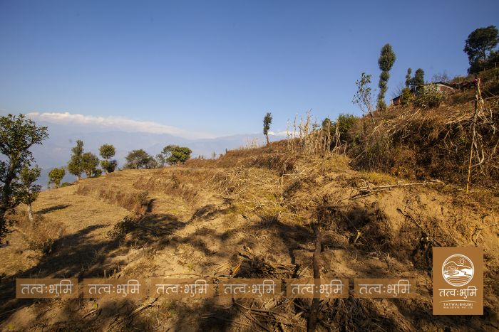 9 Ropani Land On Sale at KhariBhanjyang , Nuwakot