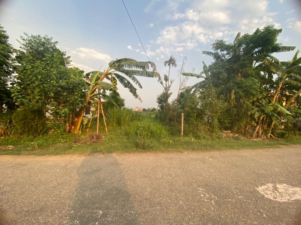 Land for sale in Ratnanagar  12 Chitwan