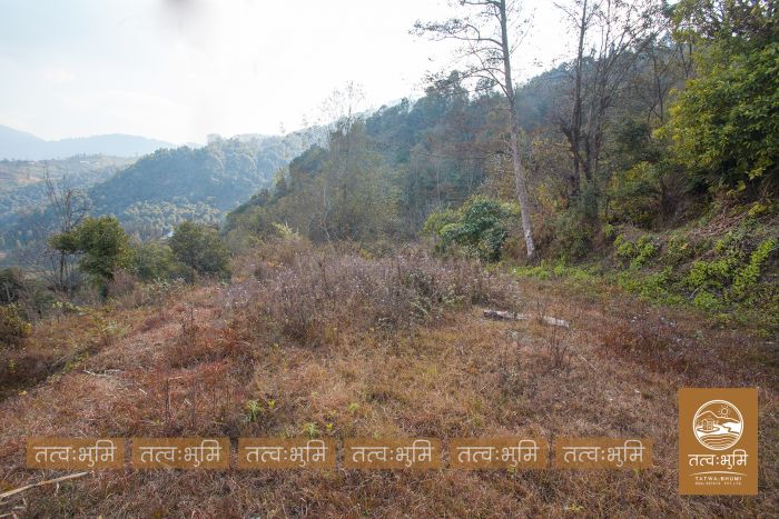 6 Ropani land on sale Lamagau, Kakani - Nuwakot.
