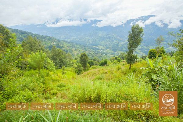 12 Ropani land for sale in Kabilash - Nuwakot.
