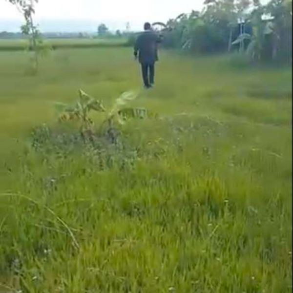 Land for sale at chitwan kumroj