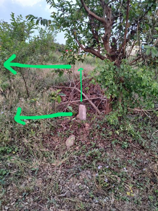 10 dhur belbaas butwal