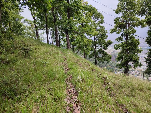 2 Ropani Land on Sale at Dahachowk