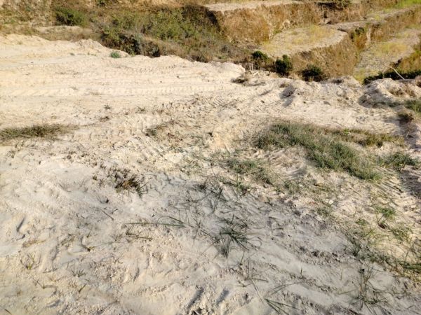 Land for sale near to Nala Gumba