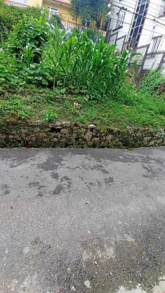 Land On Sale At Basundhara 