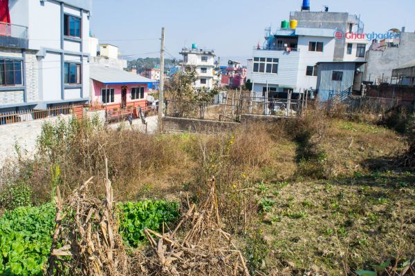 5 aana 1 paisa Plotted land for sale in Katunje Bhaktapur