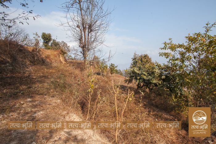 6 Ropani land on sale Lamagau, Kakani - Nuwakot.