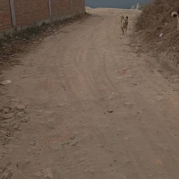 13 aana land on sale at Lubhu, Lalitpur