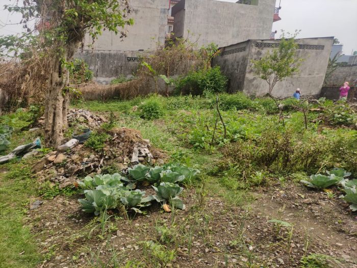 Pokhara special offer