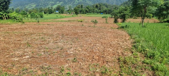 LAND FOR SALE COMMERCIAL ,AGRICULTURAL,RESIDENTAL OR PLOTTING PURPOSE