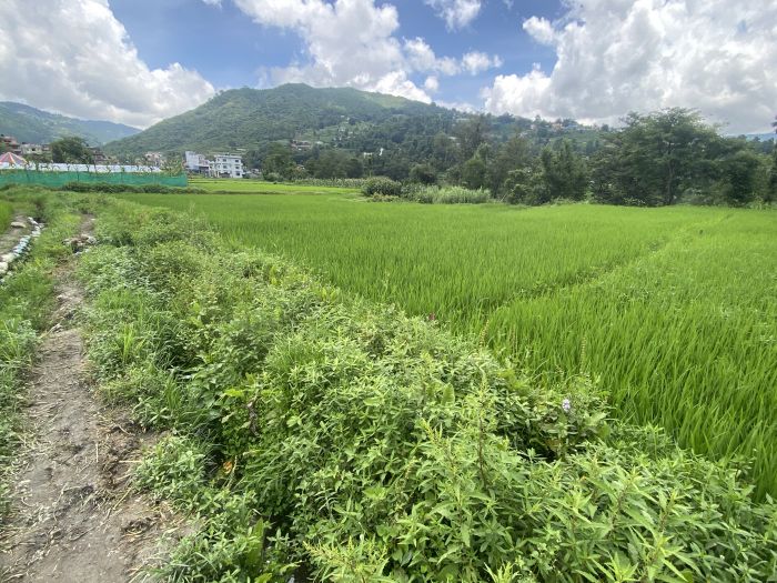 Land for Sale in Sankhu