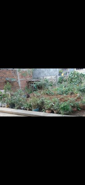 Land for Sale Damauli 
