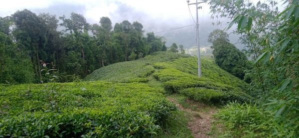 Land in the queen of hills kanyam,ilam