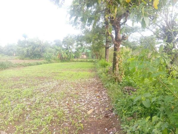Land for sale 