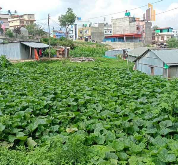 Land on sale-Gothatar, Kathmandu