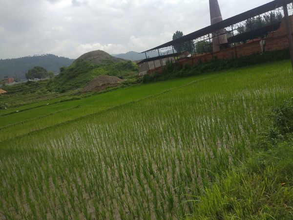 8 aana jaga 26ft bato aaraniko highway bata 1min lag6