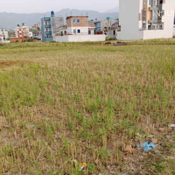 Land on sale-Lamatar, Lalitpur