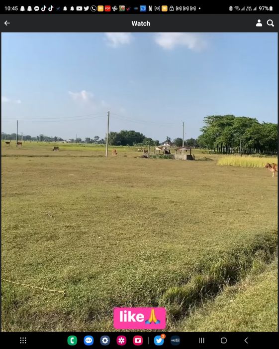 Jhapa jilla ko Bhadrapur ko Jhapa chok ko land sell