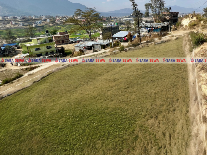 Plotting Land On Sale At Thecho ,Lalitpur Plotting Land On Sale At Thecho ,Lalitpur