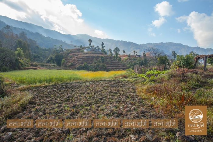 73 Ropani Land On Sale at KhariBhanjyang , Nuwakot