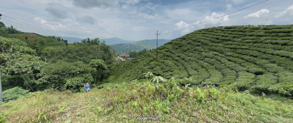 50-Ropani Land for Sale in Eastern Nepal – Ideal for Resorts &amp; Hotels
