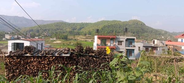 HOUSE FOR SALE IN JAMUNE, TANAHUN.