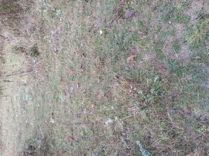 Land for sale in nuwakot