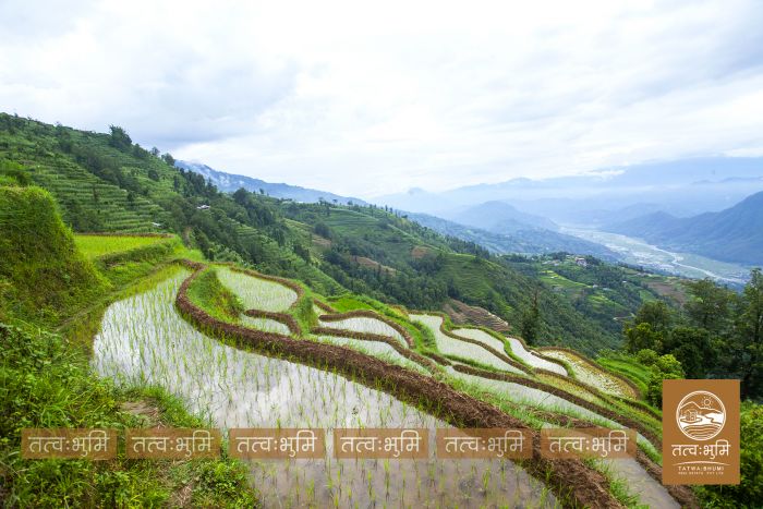 20 Ropani land on sale at Narayanthan - Nuwakot