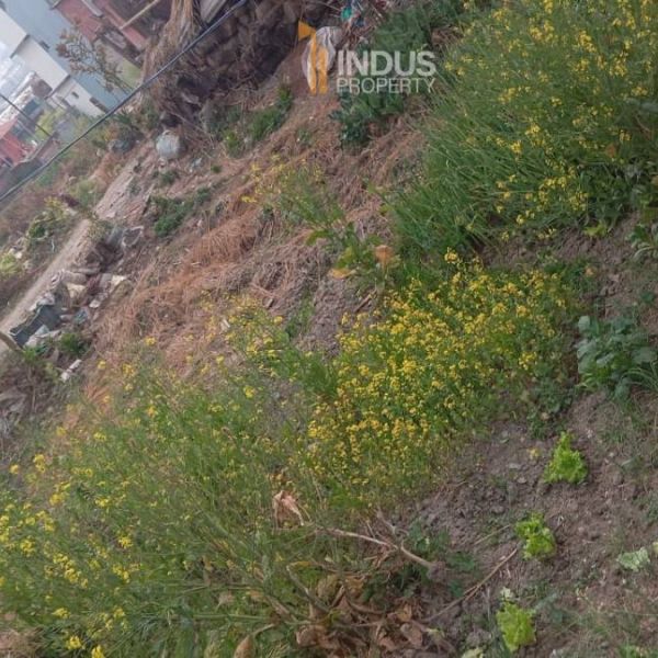 3.5 aana land for sale having 13 ft road at Lubhu, Lalitpur