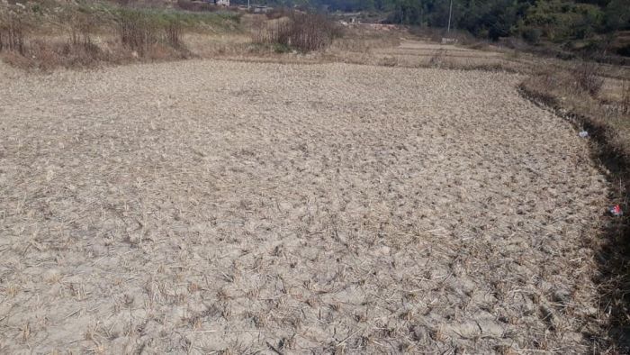 LAND ON SALE (NAMOBUDDHA MUNICIPALITY) Mathurapati