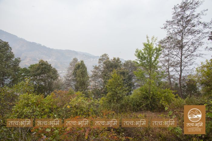 10 Ropani land in Ranipauwa for Sale.