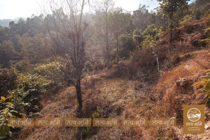 6 Ropani land on sale Lamagau, Kakani - Nuwakot.