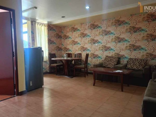 Downtown Apartment- Dhapakhel