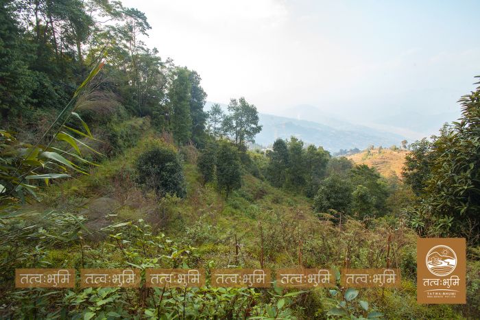 4 Ropani Land On Sale at KhariBhanjyang , Nuwakot.